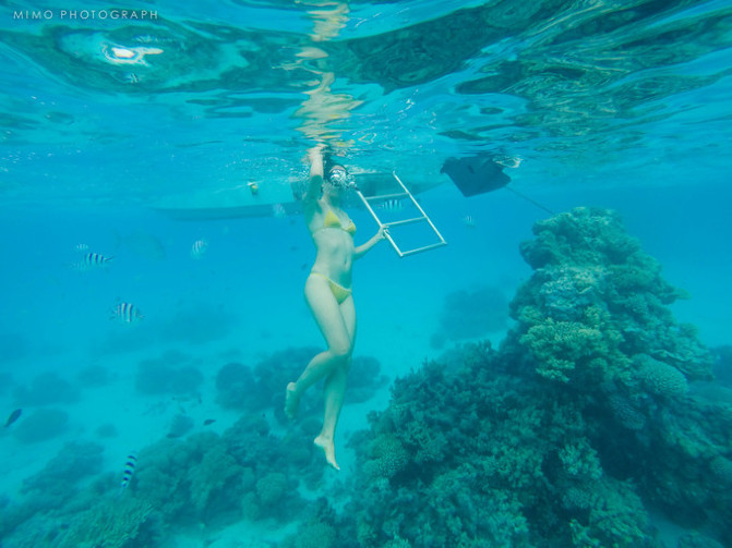 库克，上帝最秘密的存在