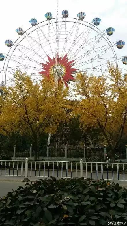 满城尽带黄金甲京剧,满城尽带黄金甲由什么改编