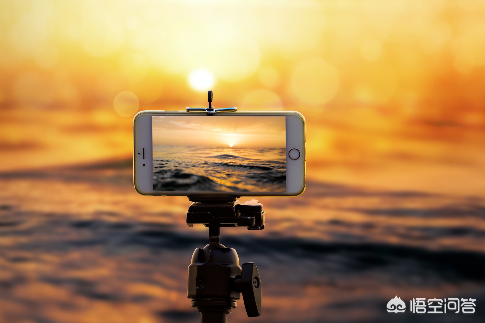 拍虚了的照片怎么补救,手机拍摄失焦怎么解决