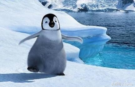 十部9.0高分喜剧电影观影,生活需要一点甜电视剧全集