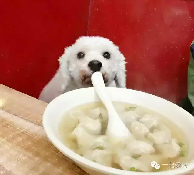 宠爱故事全集,宠爱讲故事