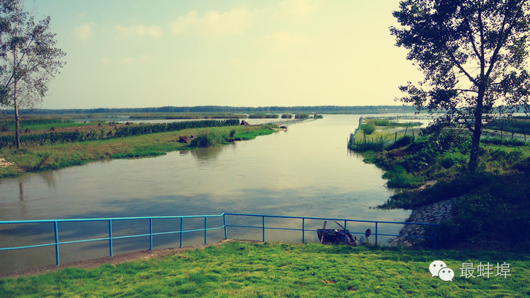 蚌埠市三县四区排名,蚌埠三大县