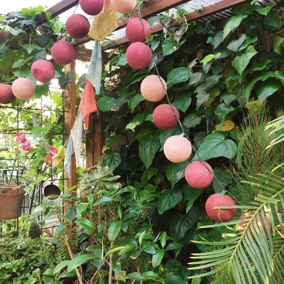 十万步走出的东京花店