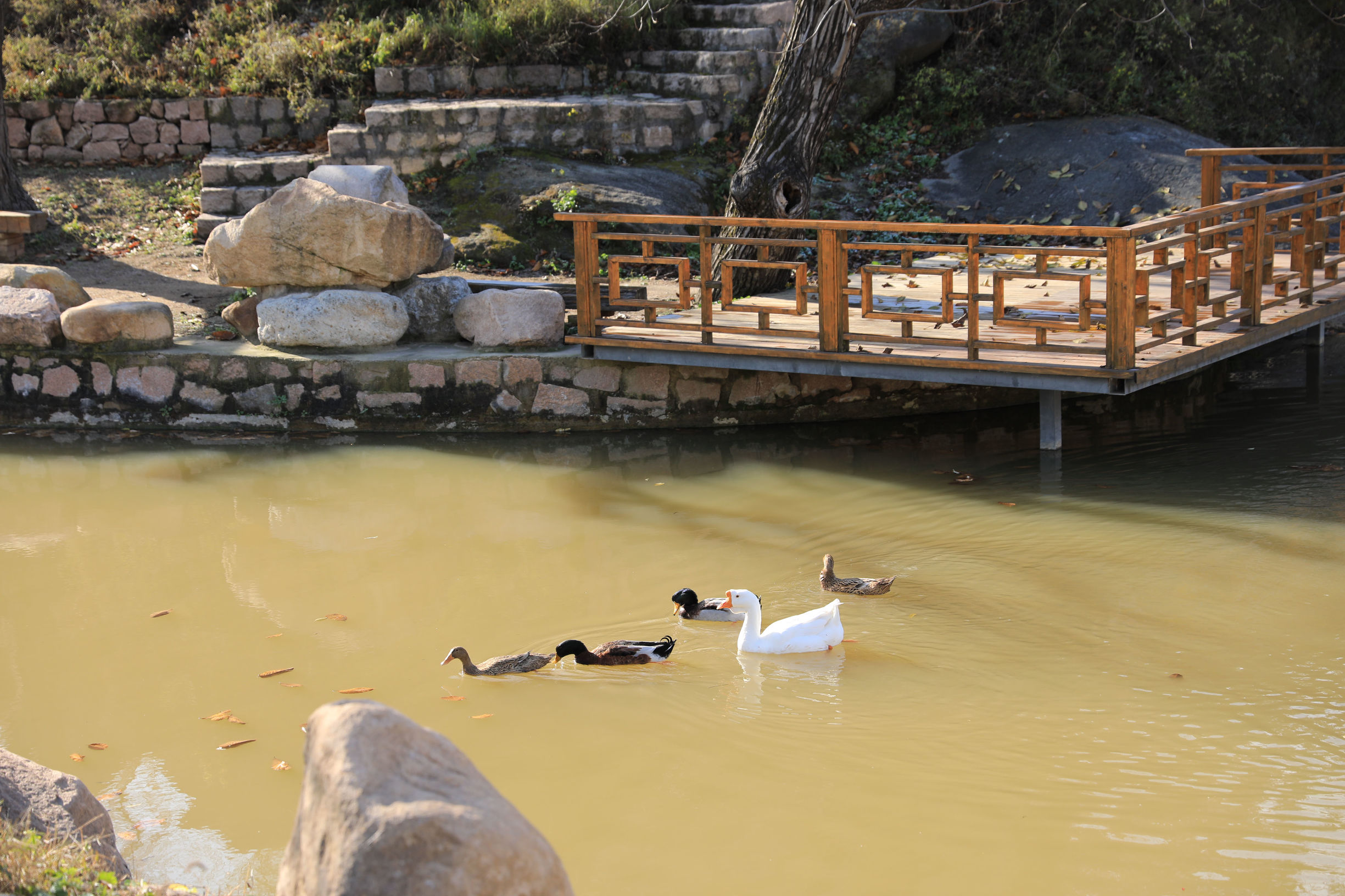 京郊自驾游好去处推荐蟒山,京郊水长城自驾游