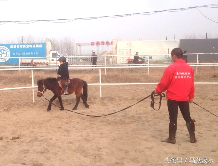 襄阳最小野骑手怎样练成(二)——上马术课