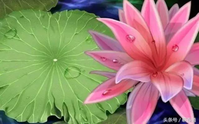 小儿子嫌父亲穷困无知当面辱骂，反被哥哥打脸，干得漂亮！