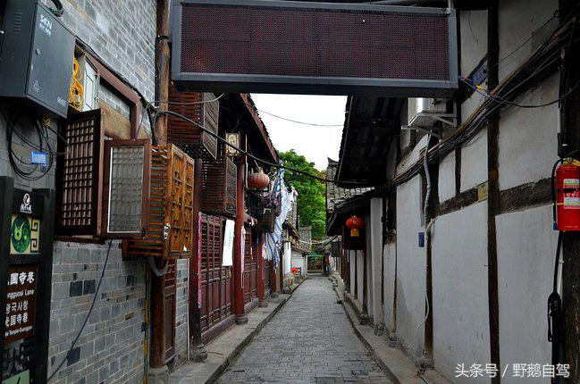 新疆野鹅自驾游视频,野鹅圣诞节自驾游