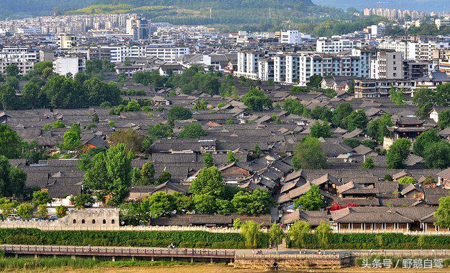 新疆野鹅自驾游视频,野鹅圣诞节自驾游