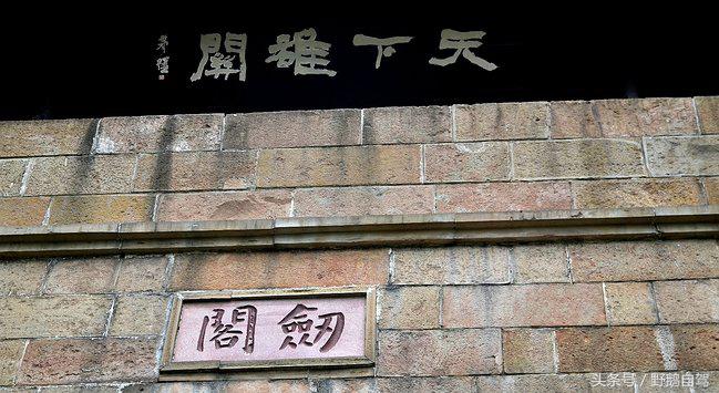 新疆野鹅自驾游视频,野鹅圣诞节自驾游