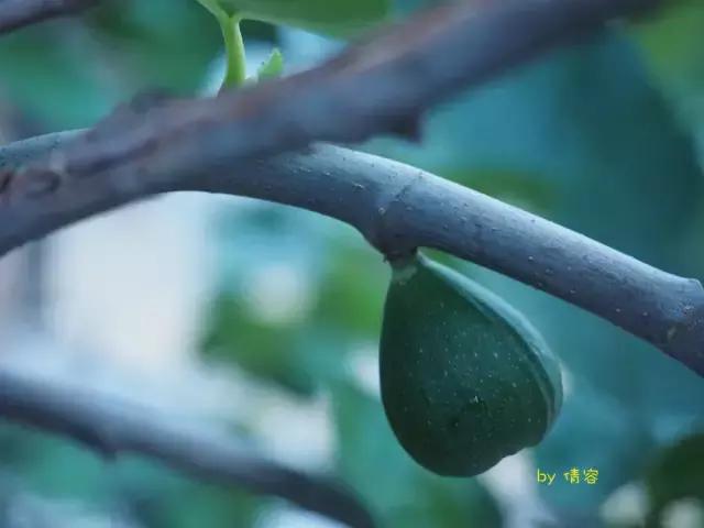 威海荣成海上时光,威海悠闲旅游