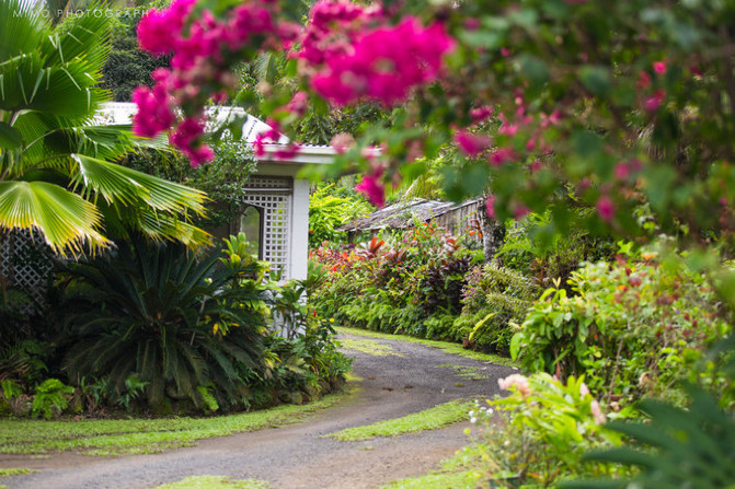 库克，上帝最秘密的存在