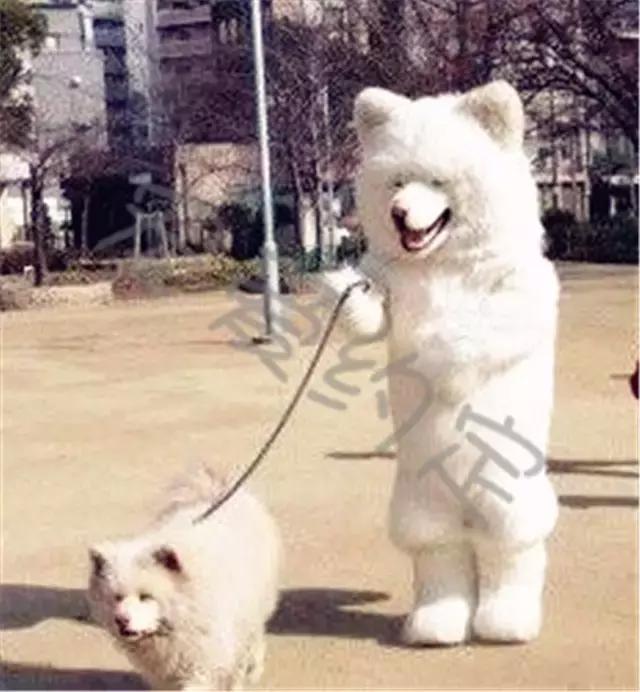 千万不要点开原声是什么梗,千万不要点开原声好吗