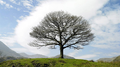 近视眼如何看小米vr一体机,小米vr眼镜9种模式在哪里