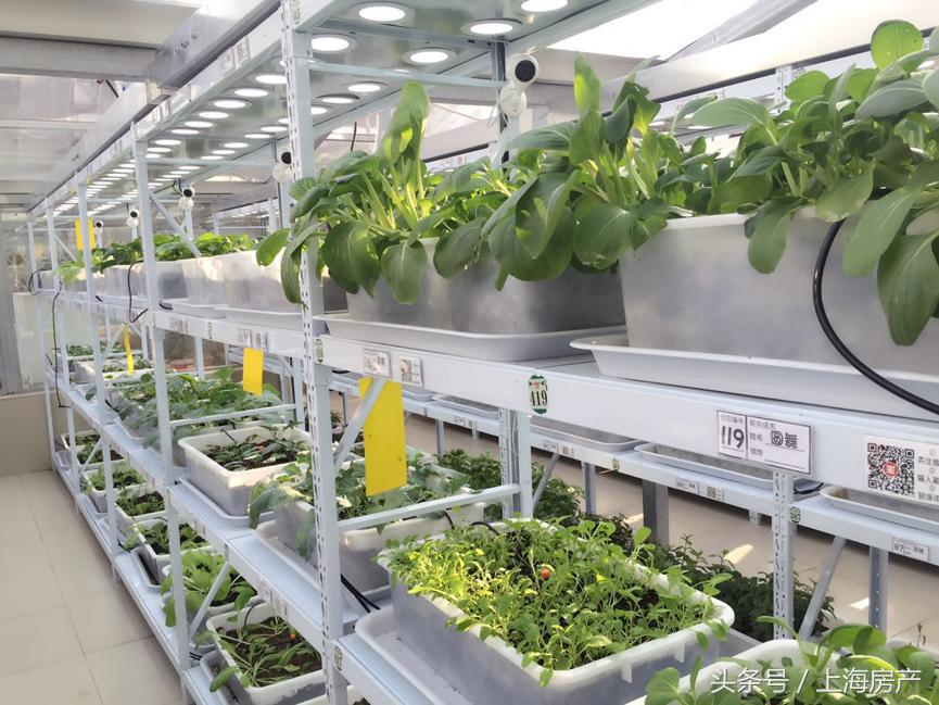 圣加美图干红葡萄酒价格,圣加美图红酒品鉴活动