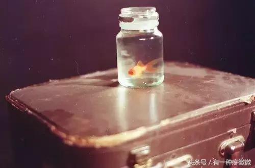 朋友圈拼的图太大,朋友圈拼的九宫格用的是什么软件