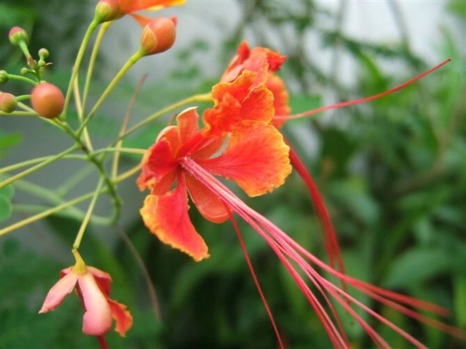 闺蜜之间怎么相处,怎么才可以对闺蜜说甜言蜜语