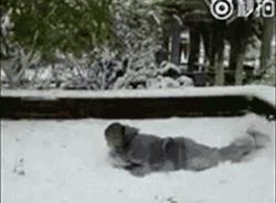 运城雪景有多美,山西省运城市第一场雪