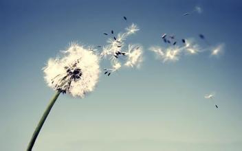 老长着口疮应该吃点什么好,老起口疮挂什么科