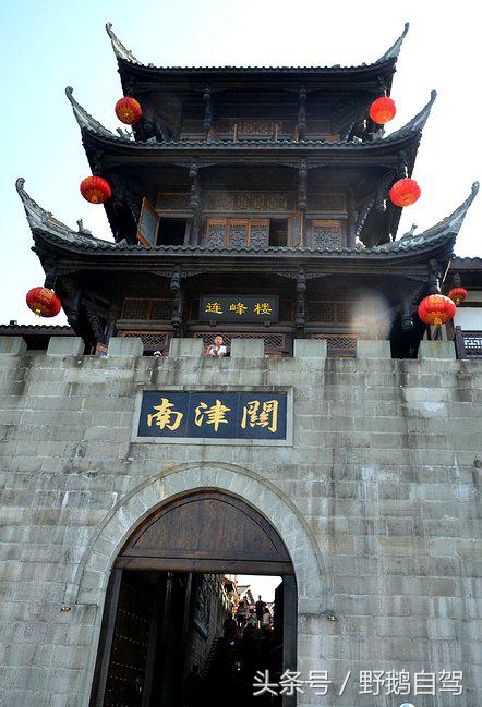 新疆野鹅自驾游视频,野鹅圣诞节自驾游