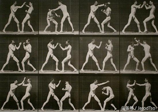 琛楀ご鑷崼,琛楀ご鑷崼瀹炴垬