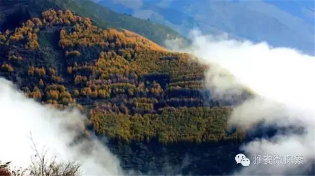 最美的季节,醉美的季节原唱视频