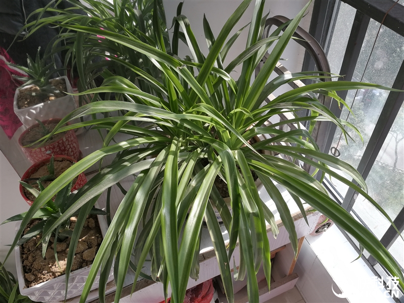 外媒评测华为mate9,华为mate9测评王者荣耀