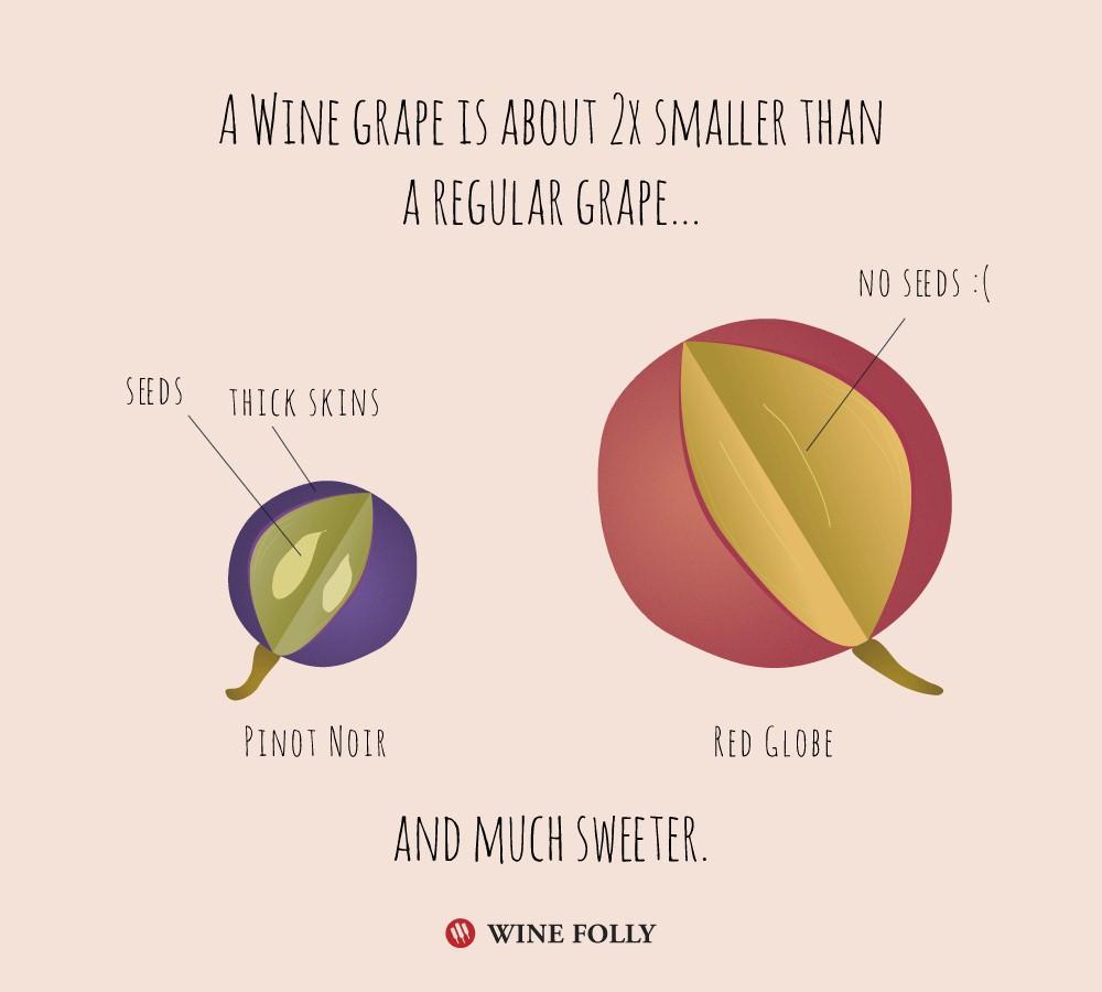 自酿葡萄酒知识大全,自酿葡萄酒的正宗方法与步骤