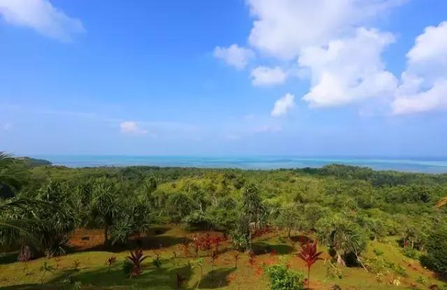 帕劳群岛旅游攻略大全,超强整理去帕劳不得不看的攻略