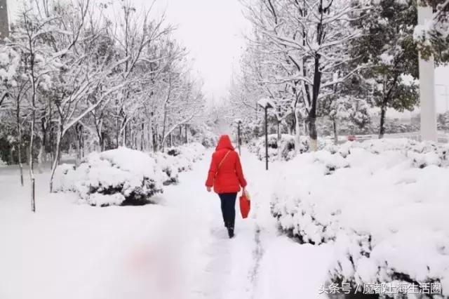 合肥哪下雪了,合肥一定要下雪吗