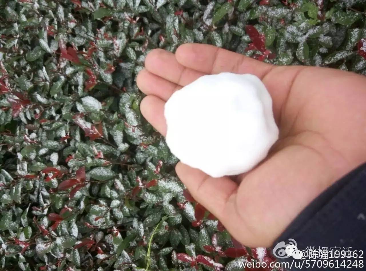 雪中宿迁，素颜都美到窒息！