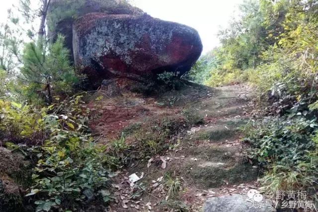 难忘大青山,难忘中学