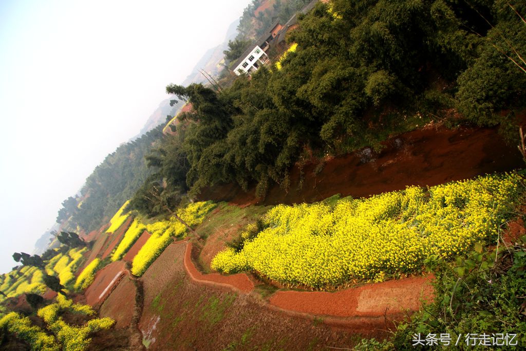 宜宾隐藏打卡地,乐山隐秘秘境