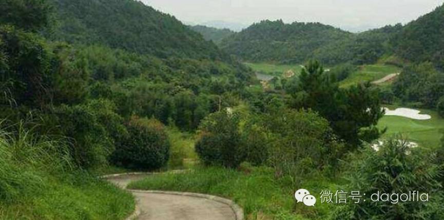 高尔夫优惠团购99元直播,国际高尔夫订场