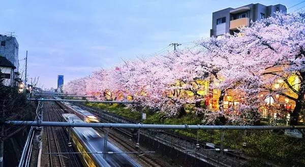 双十一抢进口好货在哪里,双十一购物各种商品都降价吗