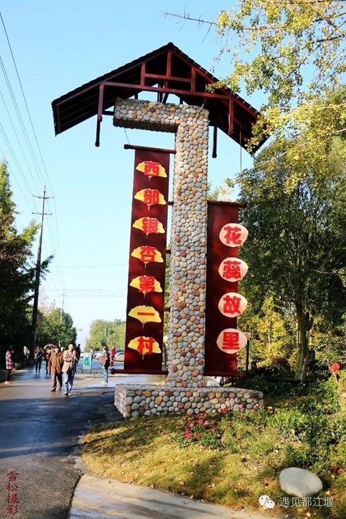 成都西部银杏第一村 (成都市周边哪里的银杏最多最美)