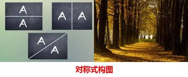 成都西部银杏第一村 (成都市周边哪里的银杏最多最美)