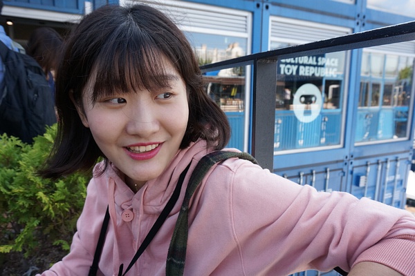 豆瓣日记玫瑰,豆瓣日记大全