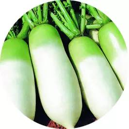 冬天爱上火的体质吃什么能改善,冬天体内湿气太重容易上火怎么办