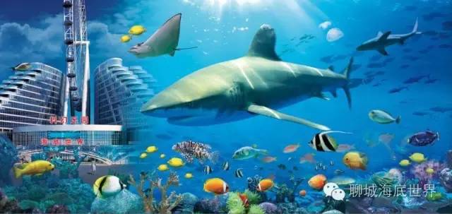 青威烟荣城际,青威烟荣城际高铁