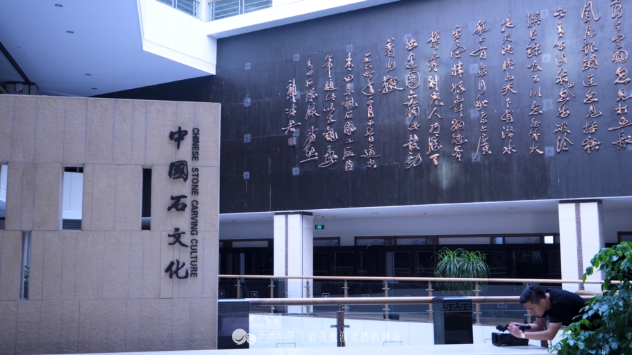 我若问自己客从何处来——浙*青江**田