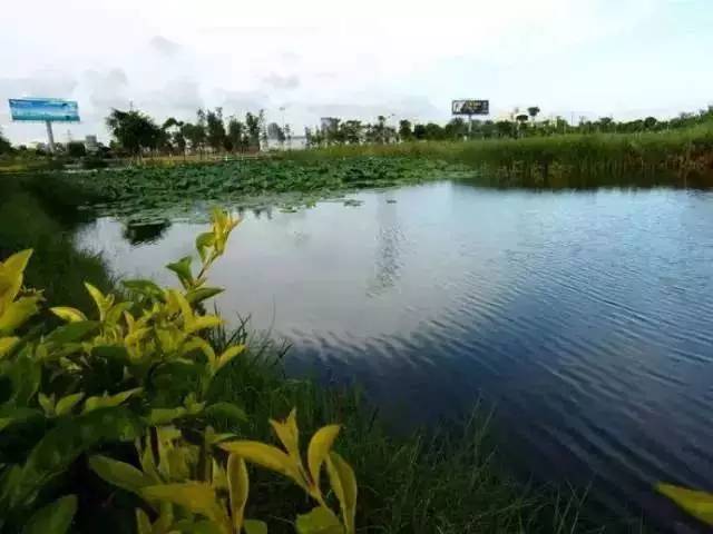 汕头十年新变化,各个城市未来的样子汕头