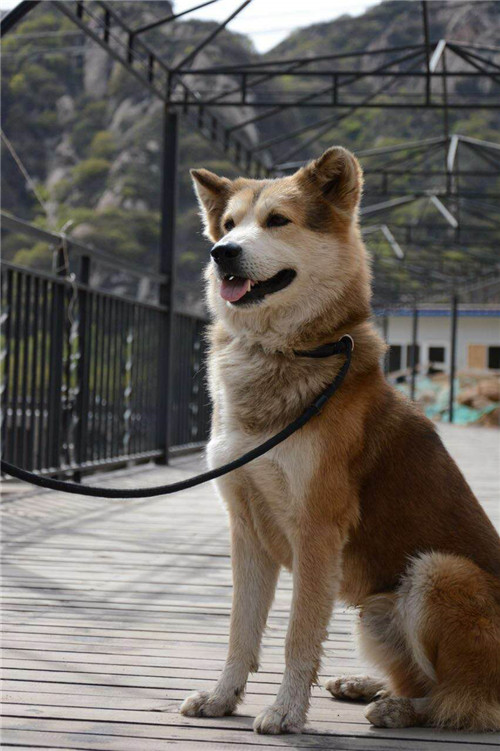 活动回顾｜欧帝亿主题巴士回顾--畅游幽谷神潭