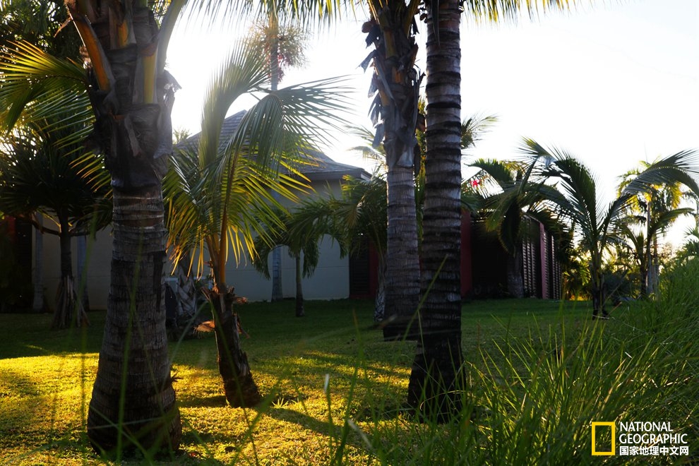 侠骨柔情展现的淋漓尽致,侠骨柔情温柔似水