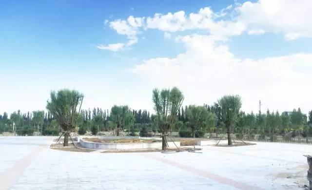 包头市新建体育公园,包头体育公园开始建了吗