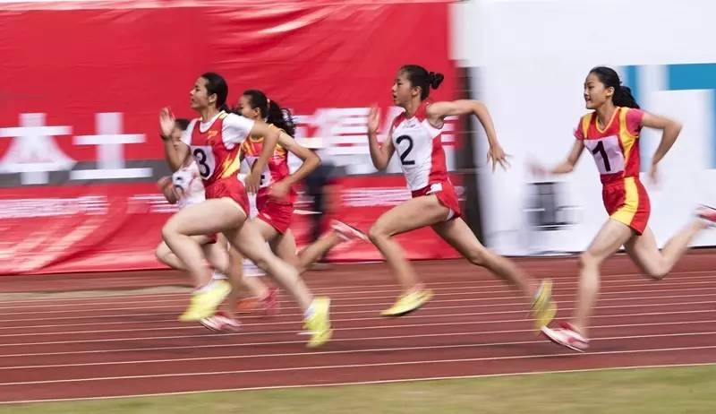 秘境寻踪视频,秘境寻踪高清完整版