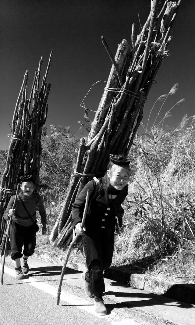 2024手机摄影大赛获奖作品,让你惊艳的手机摄影获奖作品