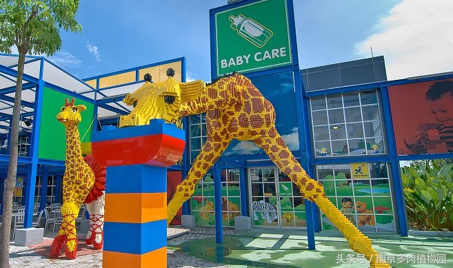 乐高积木成人款植物多肉,小玩具乐高