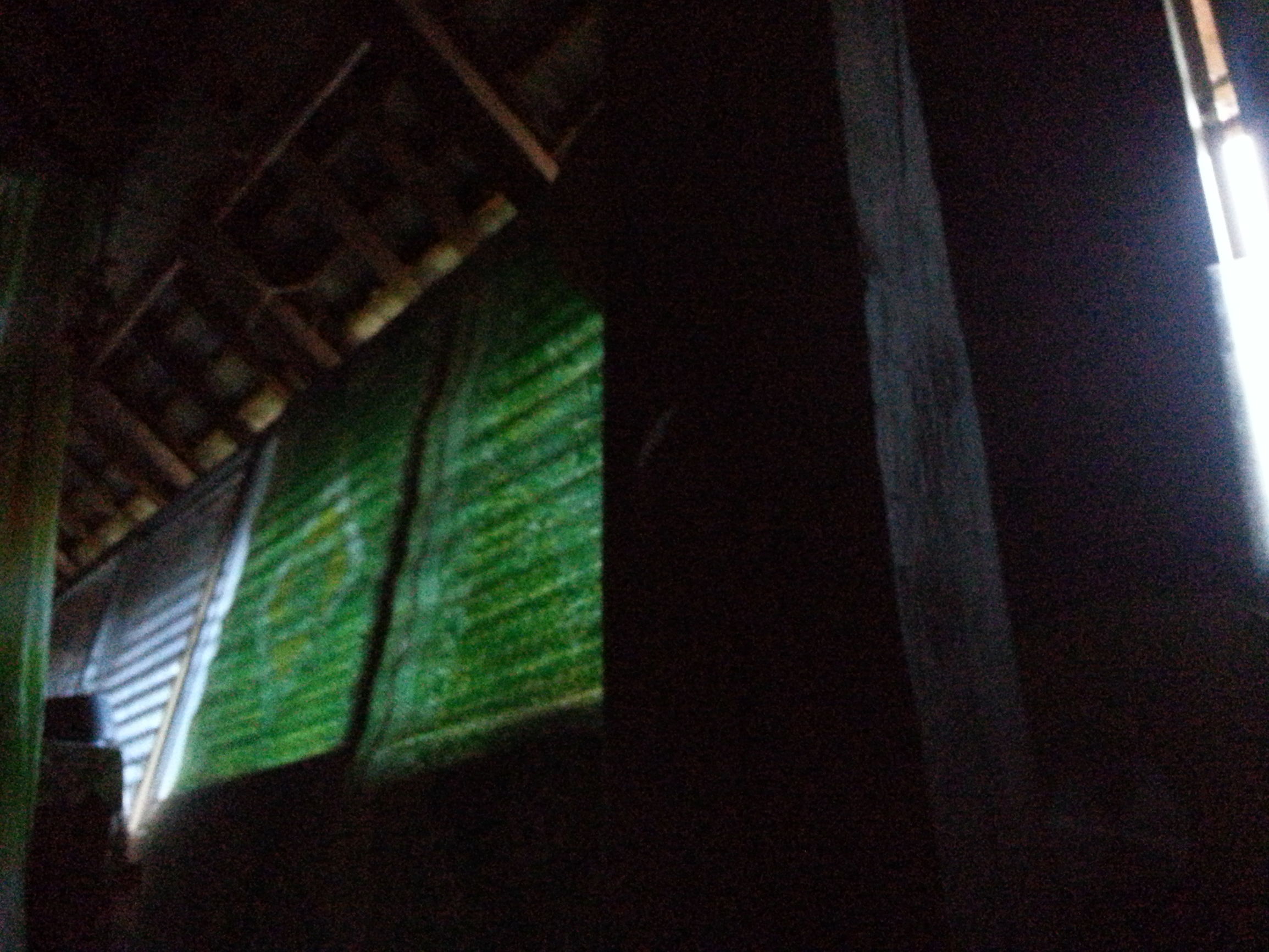 冬日旅西双版纳,西双版纳冬日的傣族浪漫