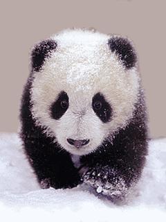 你的网名流行吗？看看这些惊艳和惊吓的神网名