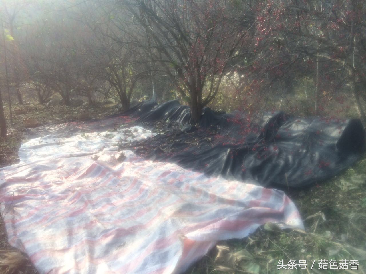 冲击钻三个功能各有什么用,冲击钻作用有哪些